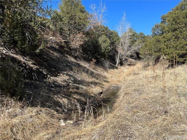 Trinidad, CO 81082,Prospect Canyon Ranch Lot 14