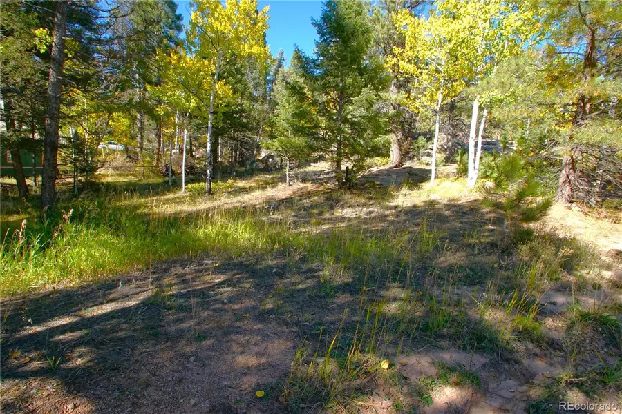 30589 Hood RD, Conifer, CO 80433