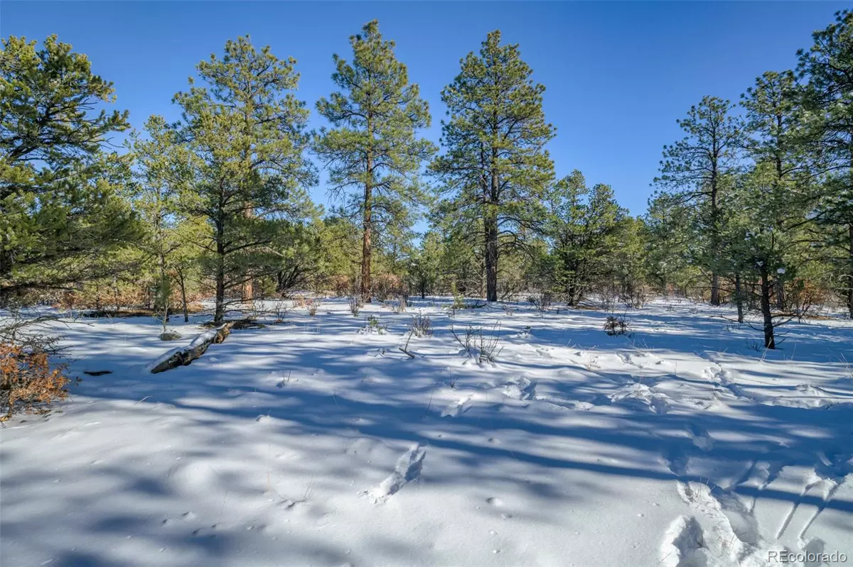 Weston, CO 81091,Rancho Escondido Lot 15