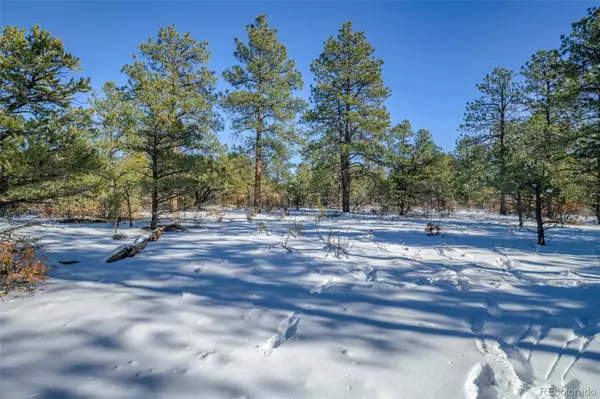 Rancho Escondido Lot 15, Weston, CO 81091