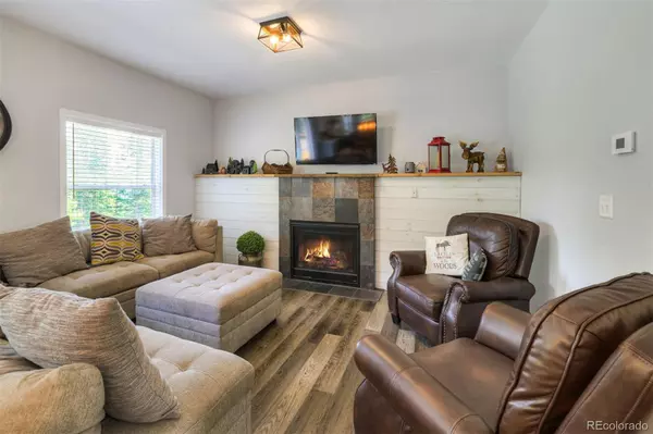 Fairplay, CO 80440,1167 Mountain View DR