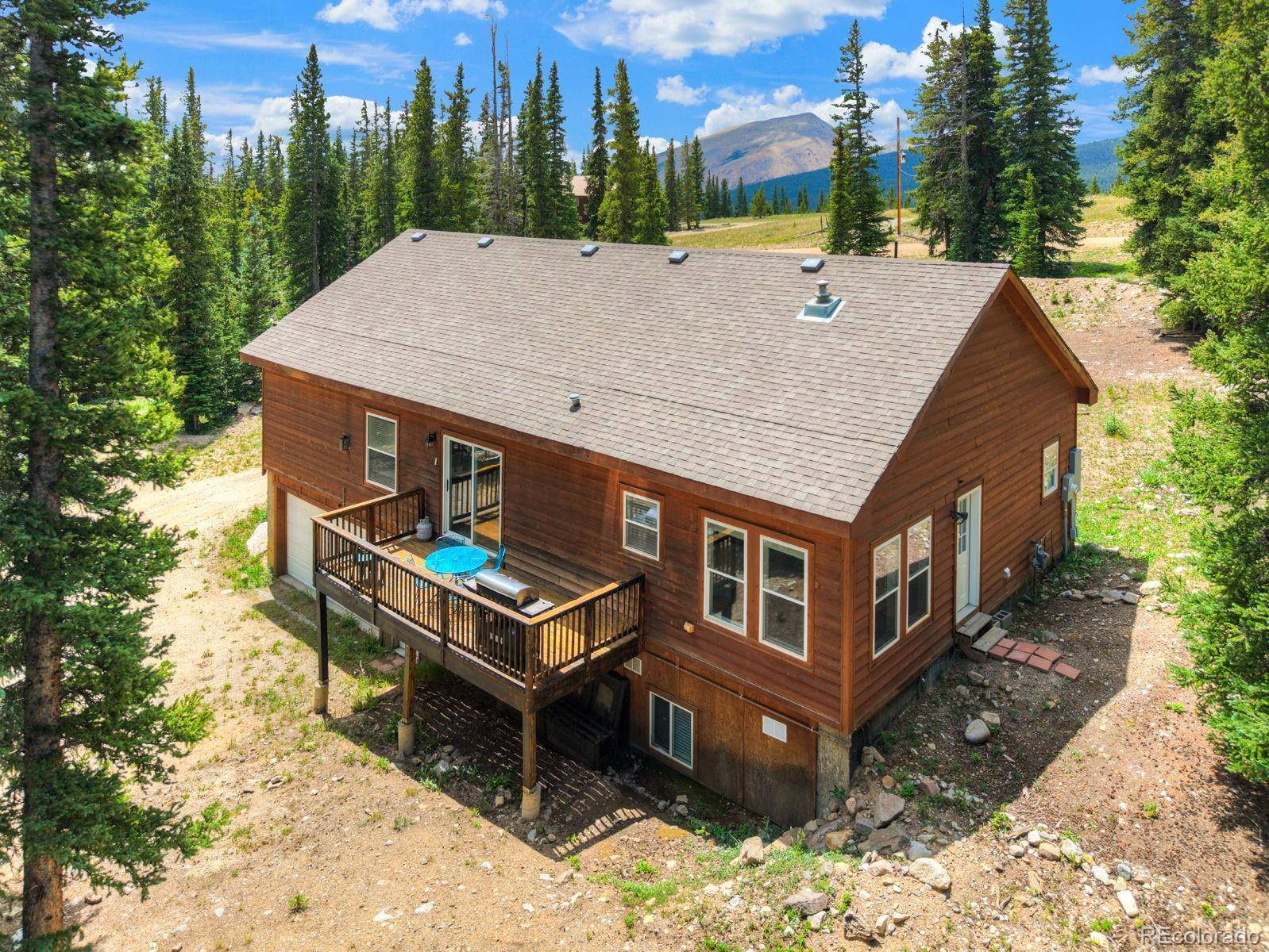 1167 Mountain View DR, Fairplay, CO 80440