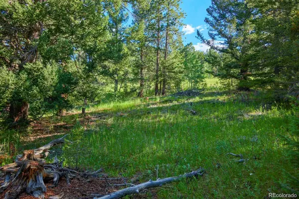 Black Hawk, CO 80422,103 Juniper RD