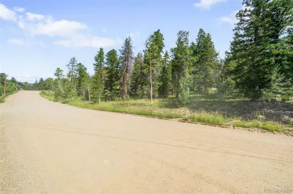 Black Hawk, CO 80422,103 Juniper RD