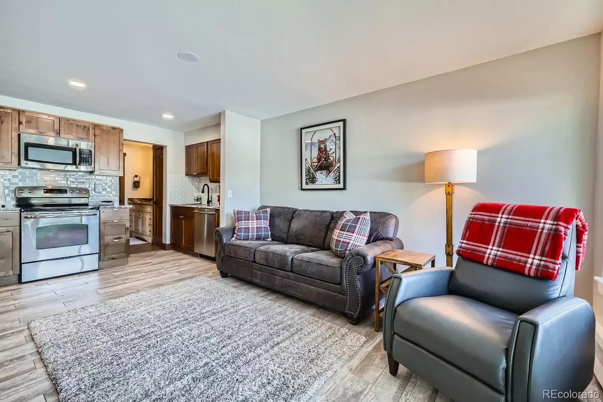 Dillon, CO 80435,414 Tenderfoot ST #11