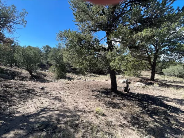 Crestone, CO 81131,3547 Fallen Tree PL