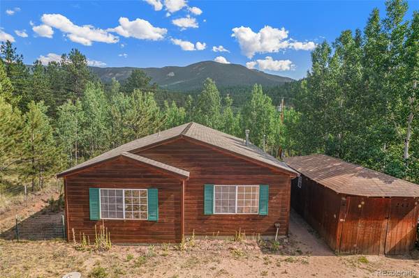 247 Anderson RD, Bailey, CO 80421