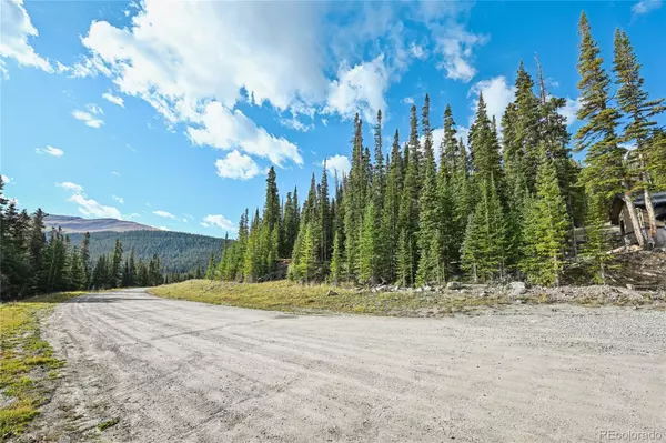 Breckenridge, CO 80424,159 Hamilton LN