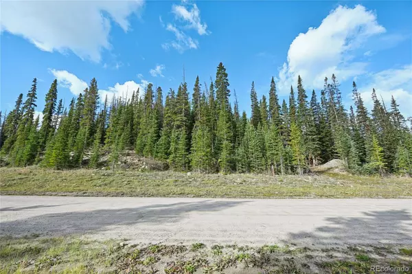 Breckenridge, CO 80424,159 Hamilton LN