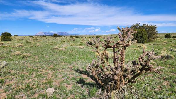 Lot 94 Rio Cucharas, Walsenburg, CO 81089