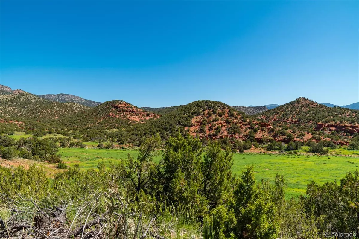 Canon City, CO 51215,Unknown Rice Mountain Way