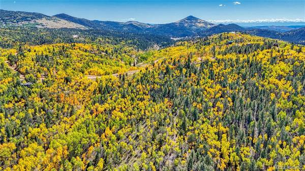 Cripple Creek, CO 80813,1343 Golden Cycle CIR