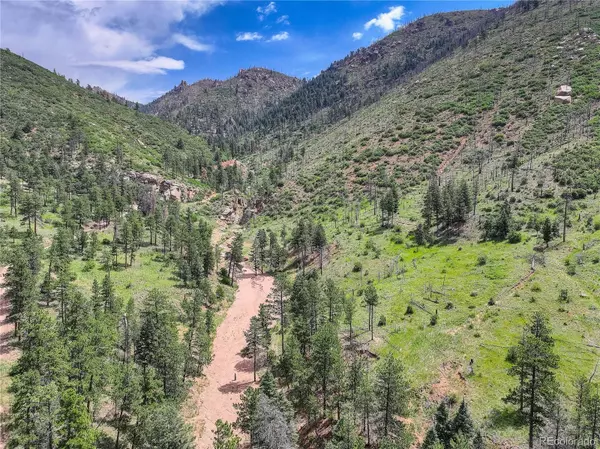 Cascade, CO 80809,5975 Wellington RD