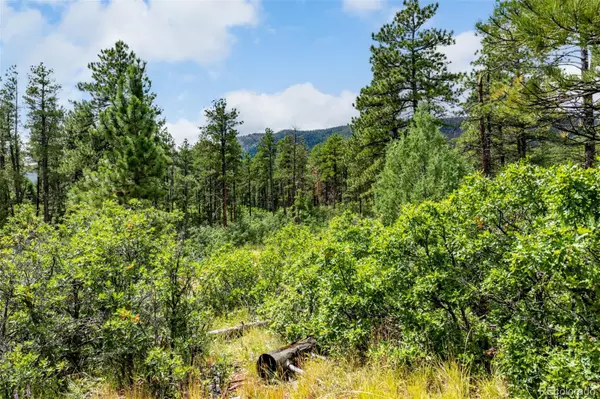 Larkspur, CO 80118,8160 Bannock DR