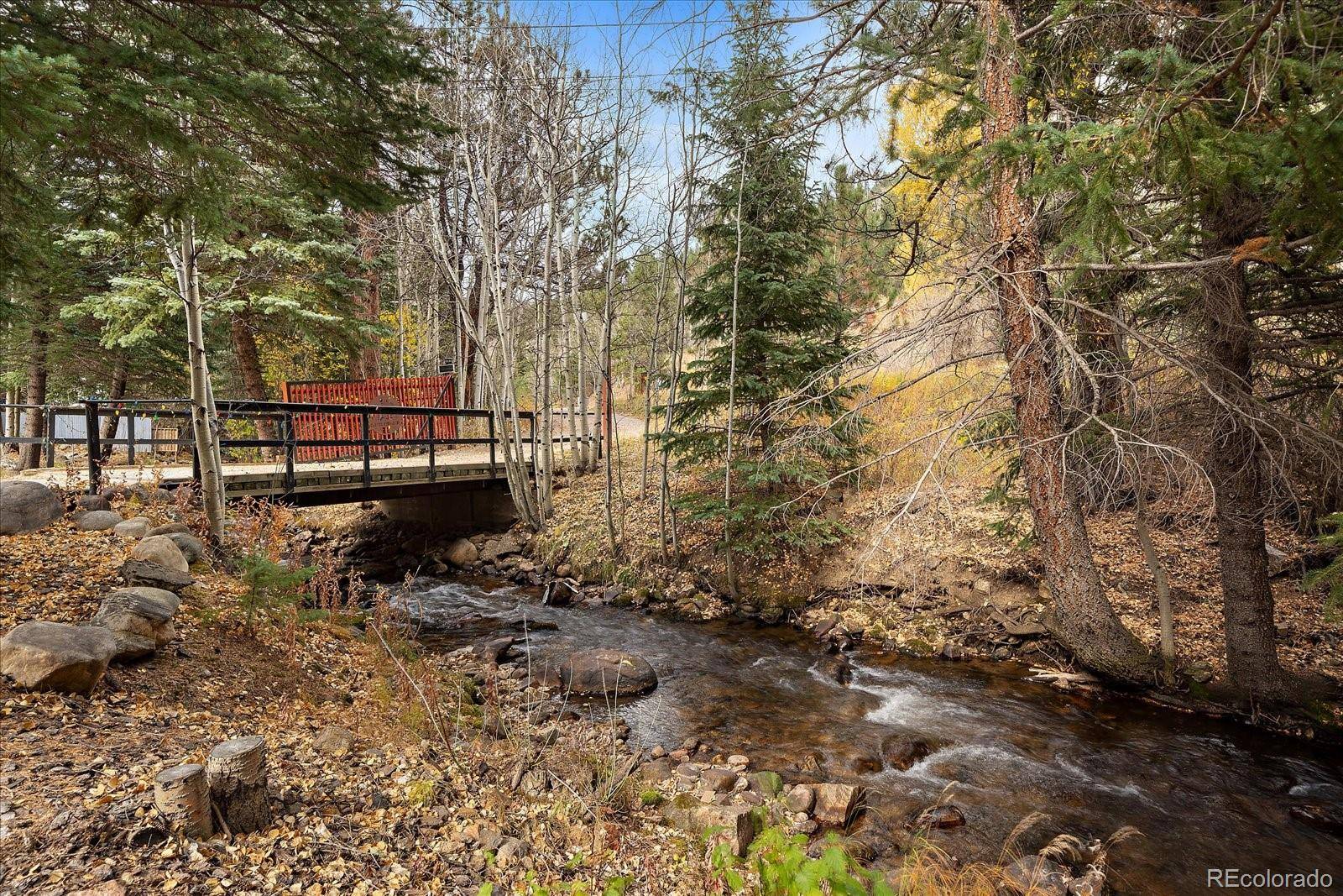 Idaho Springs, CO 80452,2971 Fall River RD