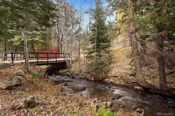 Idaho Springs, CO 80452,2971 Fall River RD