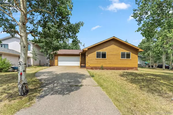 316 3rd, Fairplay, CO 80440