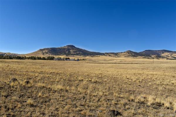 55 Cobb LN, Guffey, CO 80820