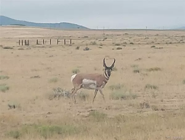 Walsenburg, CO 81089,000 West Winds RD