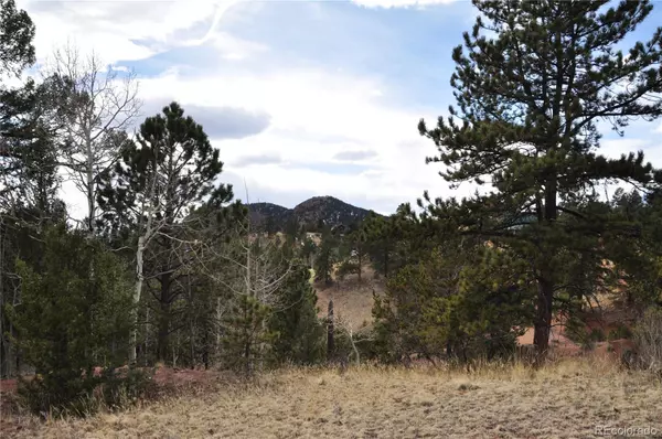 Cripple Creek, CO 80813,441 Wilson WAY