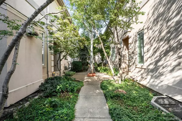 Denver, CO 80206,361 Detroit ST