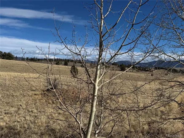 Jefferson, CO 80456,381 Remington RD