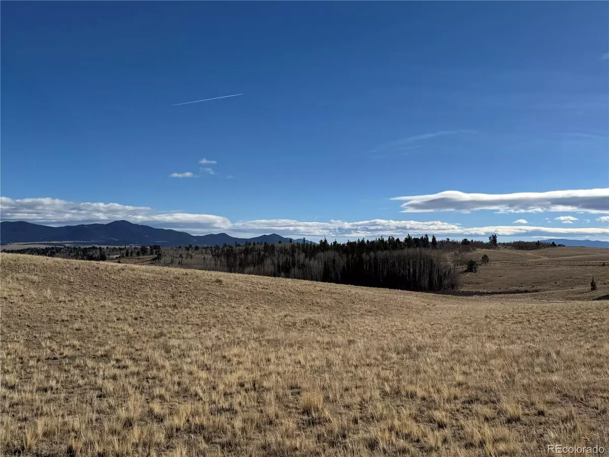 Jefferson, CO 80456,381 Remington RD