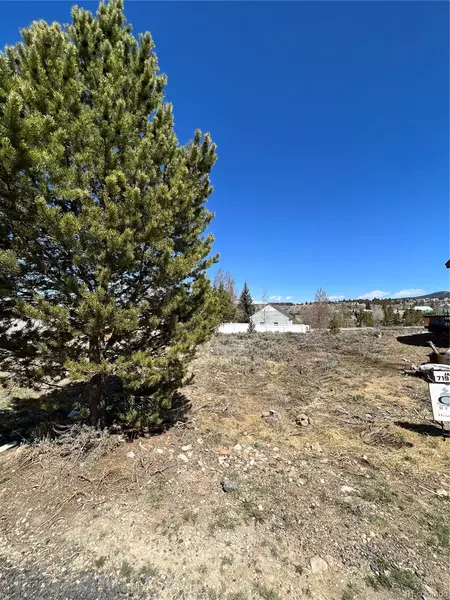 726 Clarendon, Leadville, CO 80461