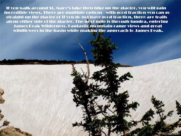 Idaho Springs, CO 80452,468 Hillside RD