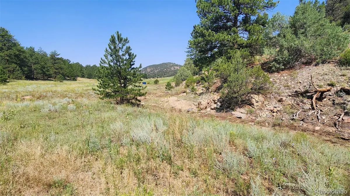 Cotopaxi, CO 81223,553 Coyote RUN