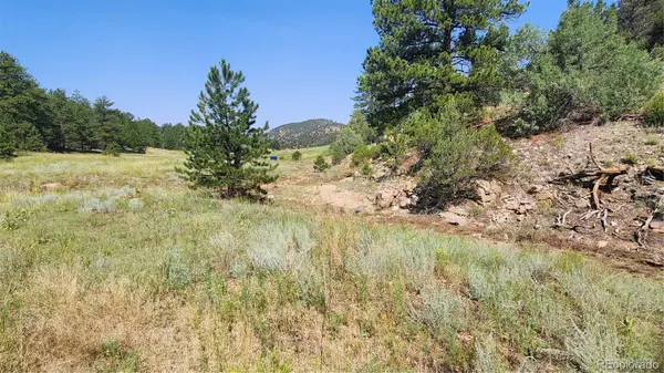 553 Coyote RUN, Cotopaxi, CO 81223
