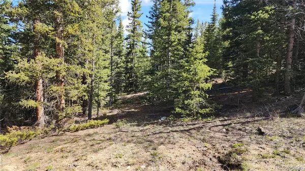 San Luis, CO 81152,Lot 6592 Hartman RD