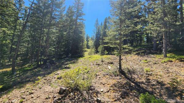 San Luis, CO 81152,Lot 6592 Hartman RD