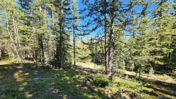 San Luis, CO 81152,Lot 6592 Hartman RD