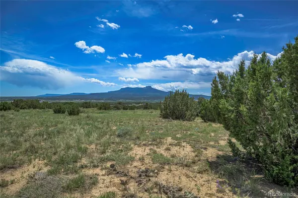 County Rd 71.1, Trinidad, CO 81082