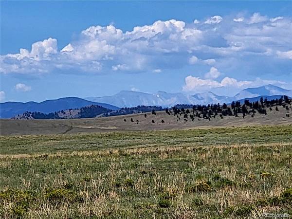 9561 Jackson RD, Hartsel, CO 80449