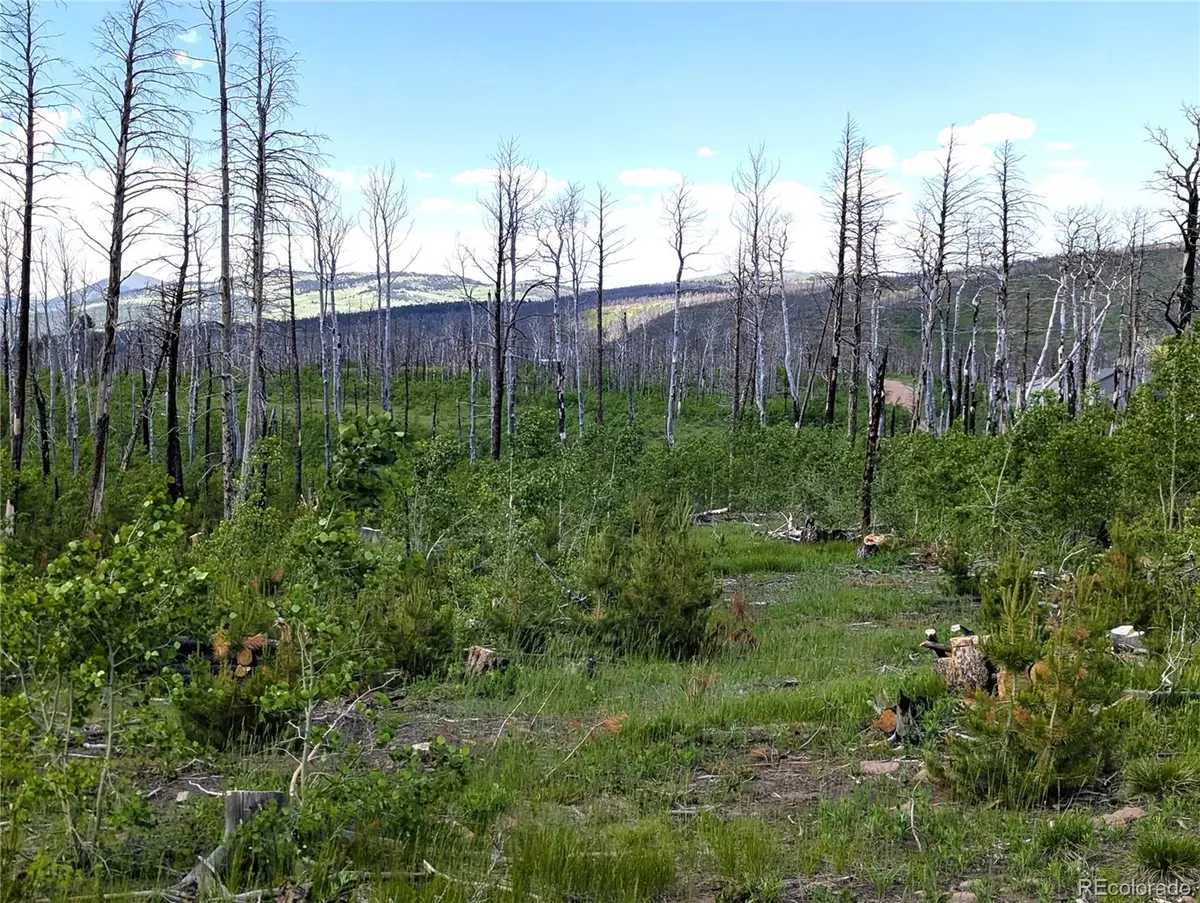 Fort Garland, CO 81133,1590 Douglas LN