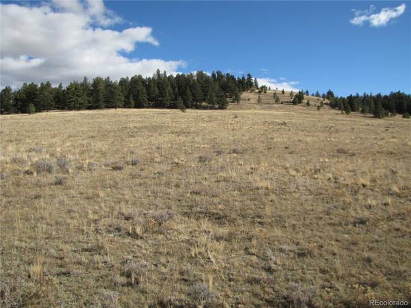 1668 Badger Creek RD, Hartsel, CO 80449