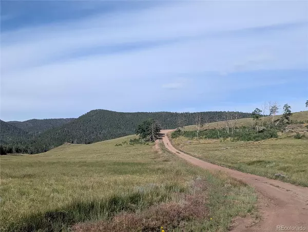 Fort Garland, CO 81133,904 Ueda PL