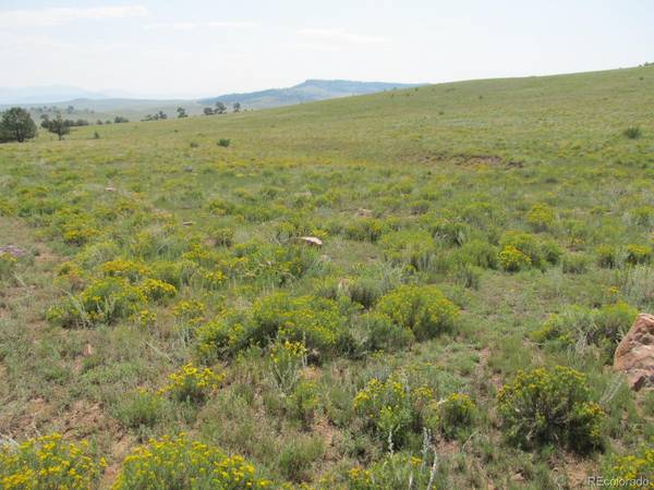 Hartsel, CO 80449,Arikara TRL