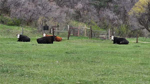 Sedalia, CO 80135,5250 Tall Horse TRL