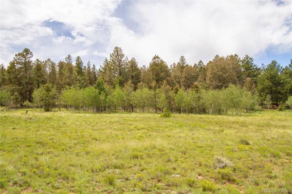 2718 Campfire RD, Hartsel, CO 80421