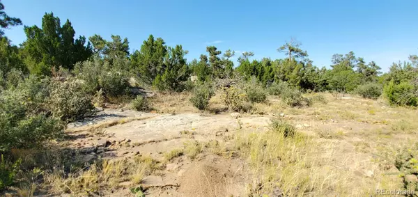 Walsenburg, CO 81089,Turkey Ridge Rd