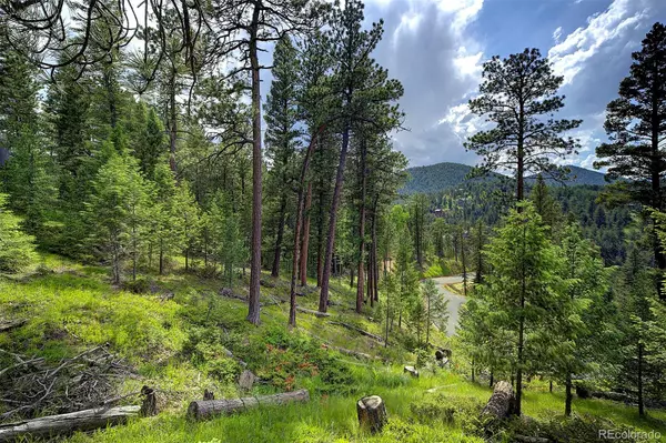 Evergreen, CO 80439,6875 Lynx Lair RD