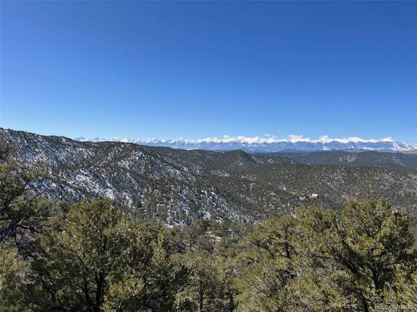 Cotopaxi, CO 81223,469 Buckskin Gulch RD