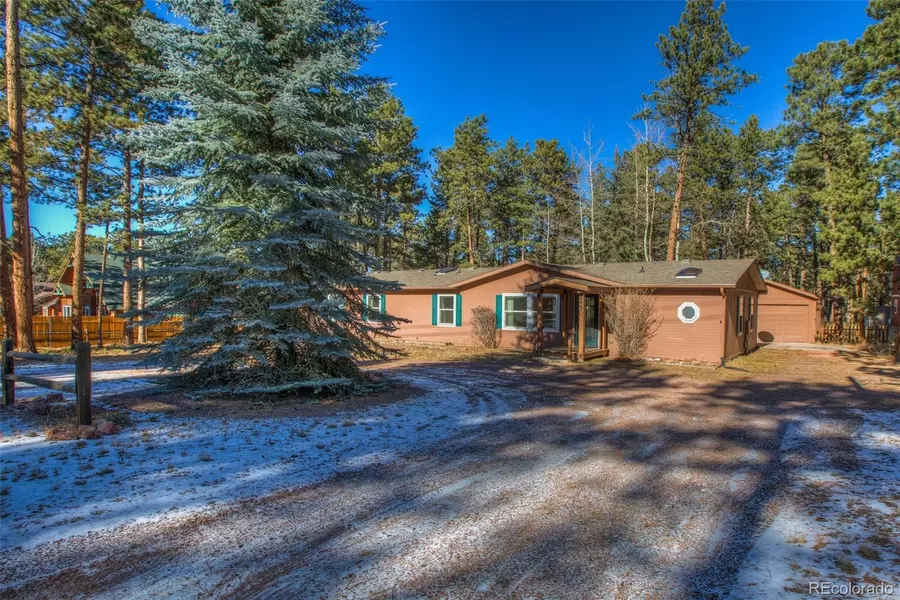 450 County RD, Woodland Park, CO 80863