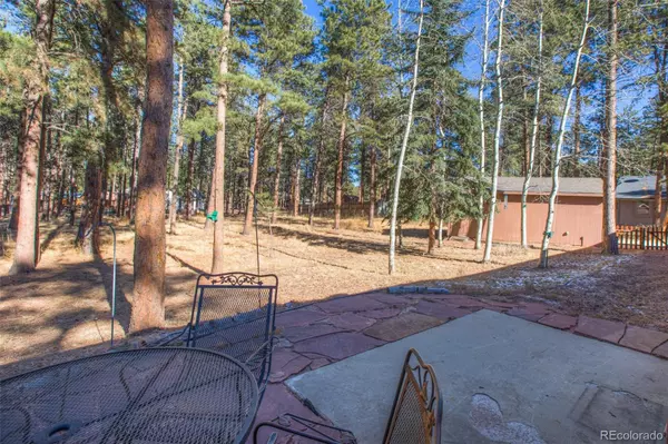 Woodland Park, CO 80863,450 County RD