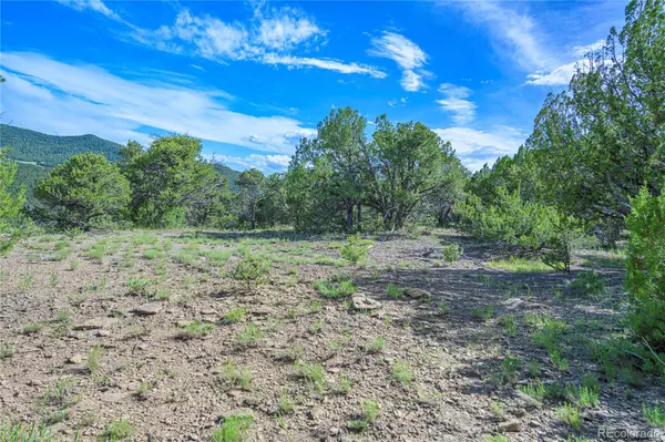 Aguilar, CO 81020,32498 Lower SPUR
