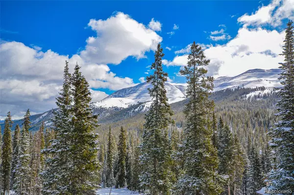 34 CR 856, Breckenridge, CO 80424