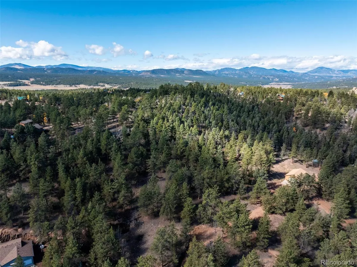 Florissant, CO 80816,205 Stonehenge DR